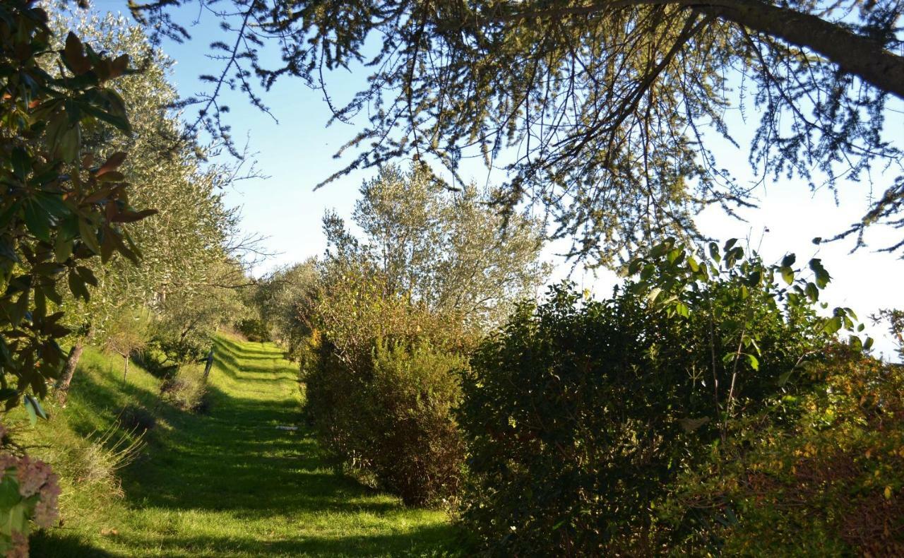 Ala Di Maniero In Agriturismo Valdrago In Toscana, Nel Verde Mugello Sulle Colline Di Firenze Guest House Borgo San Lorenzo Bagian luar foto