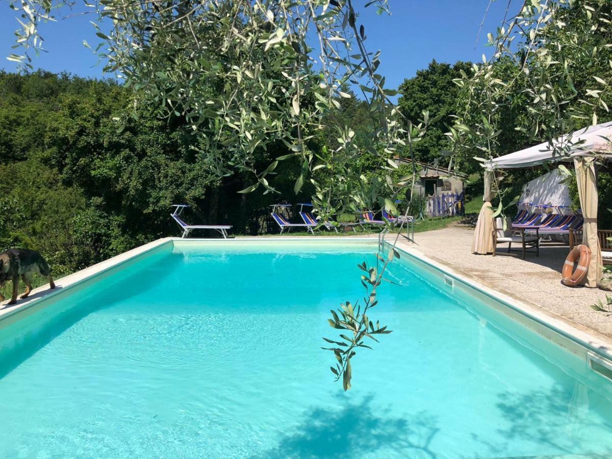 Ala Di Maniero In Agriturismo Valdrago In Toscana, Nel Verde Mugello Sulle Colline Di Firenze Borgo San Lorenzo Bagian luar foto